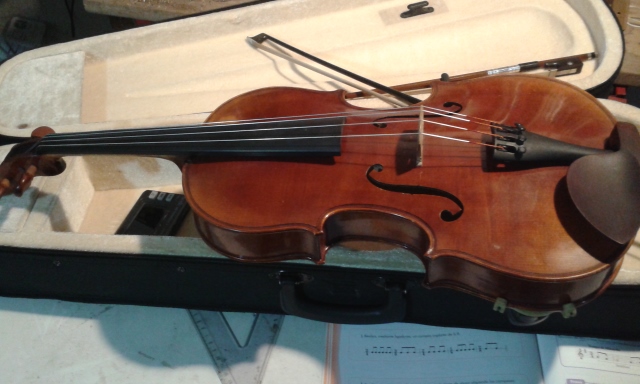 viola-640x384.jpg