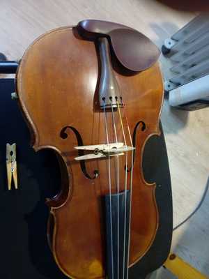 sordina de pinza 1