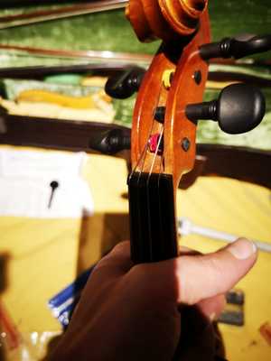 violin02