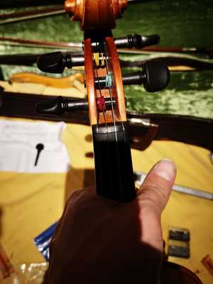 violin04