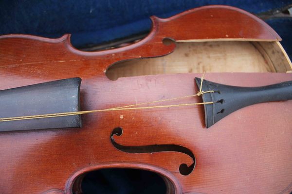 deviolines5