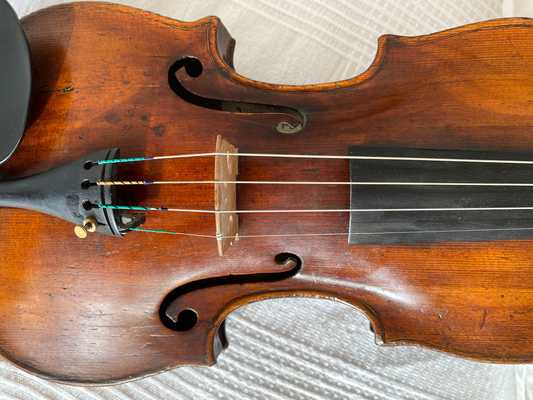 VIOALI5