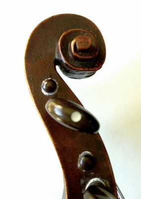 Voluta 2