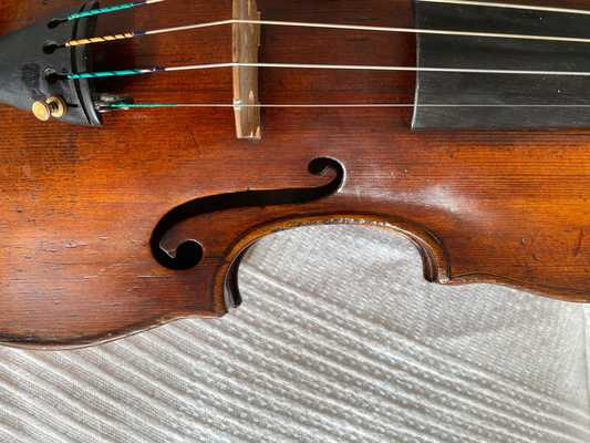 VIOALI6