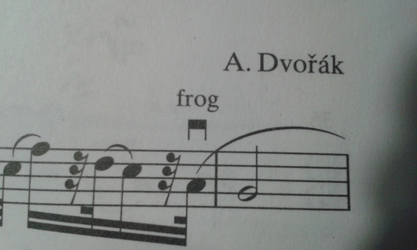 frog