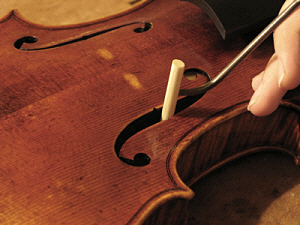 alma violin