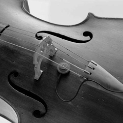 Pastilla Schertler DYN-series violín