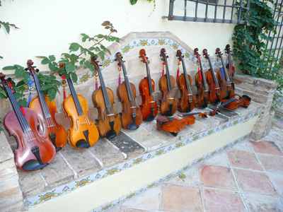 campamento de verano fiddle