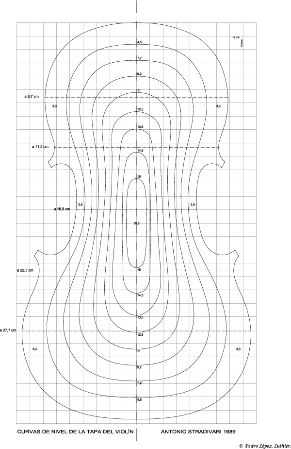 curvas de nivel de la tapa del violín