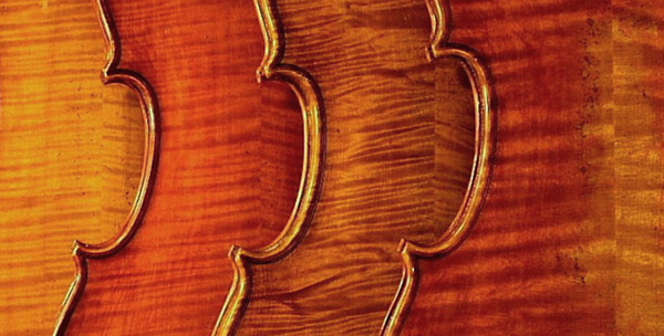 barniz del violín