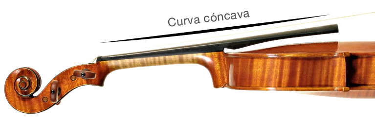 Diapasón curvado