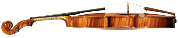 Reconocer un buen violín 6 tapa y fondo de violín
