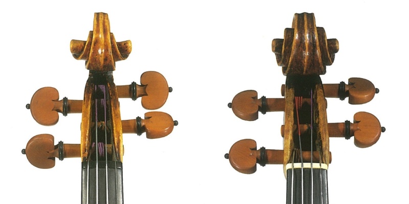 Guarneri, rival de Stradivari 5 Voluta de Guarneri