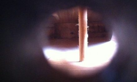 Curso de ajustes en instrumentos de cuerda frotada por el luthier Luis Limón