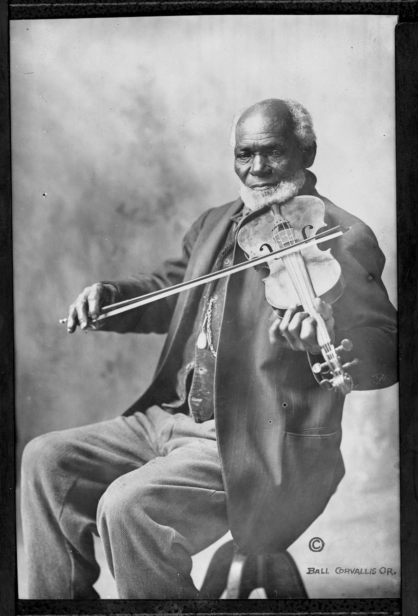 Black fiddler