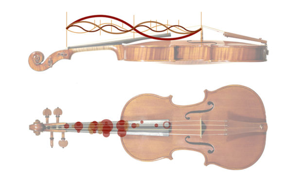 Armónicos: qué son y cómo se tocan en el violín.