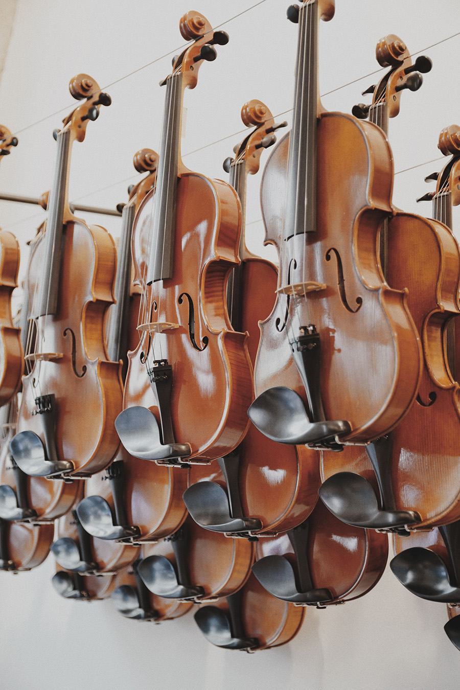 Exposición instrumentos luthier vidal