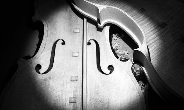 Fotografía de Fernando Solar Luthier
