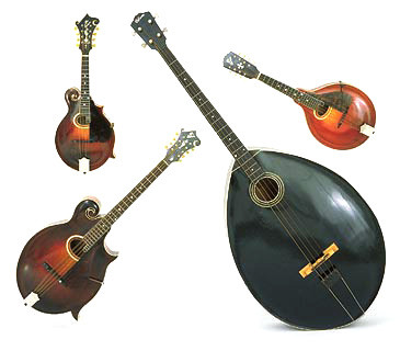 Familia de mandolinas Gibson