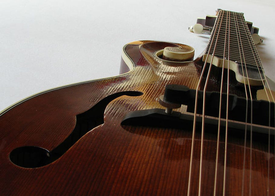 Por qué los violinistas deberían tocar la mandolina