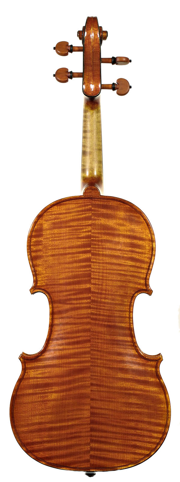 Anatomía de un violín 3 tooltip text