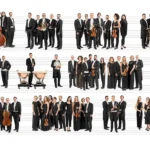 Audiciones para varios puestos de violín tutti en la Orquestra de la Comunitat Valenciana