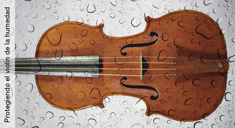 Protegiendo el violín de la humedad.