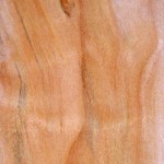 madera de sauce
